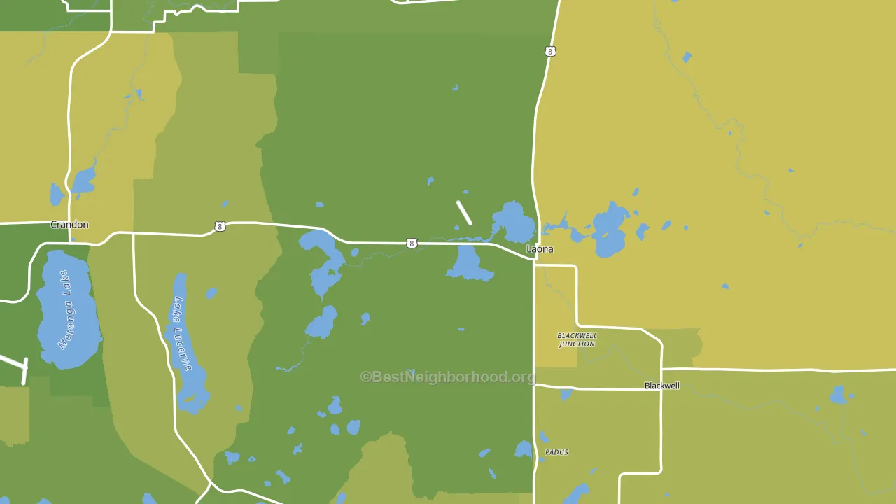 Laona, WI block-group voter-turnout map
