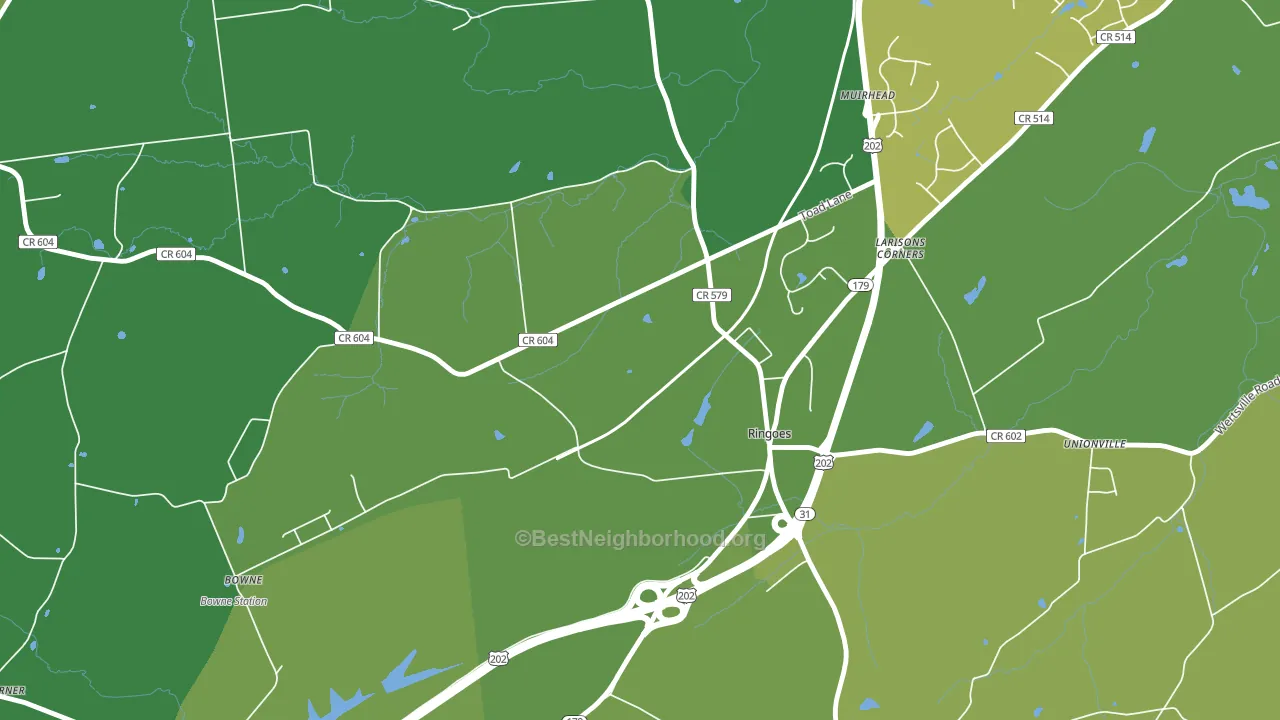 Larisons Corner, NJ block-group voter-turnout map