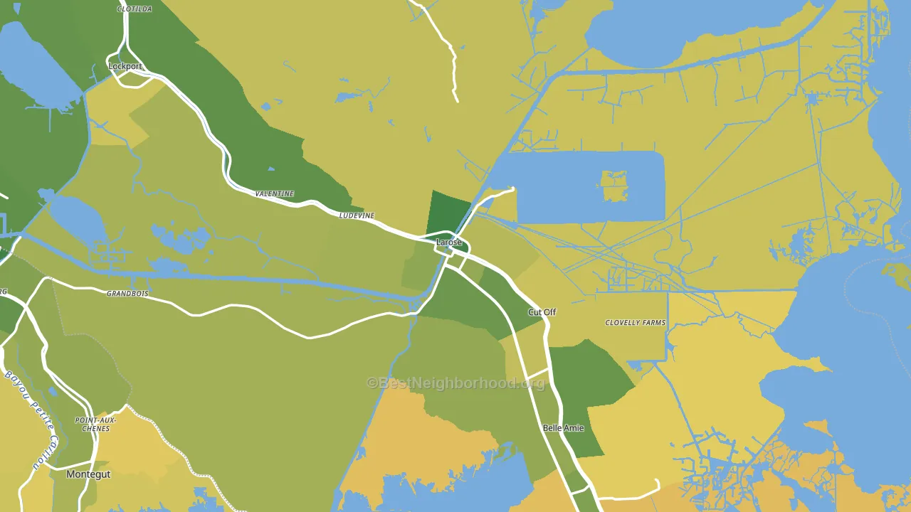 Larose, LA block-group voter-turnout map