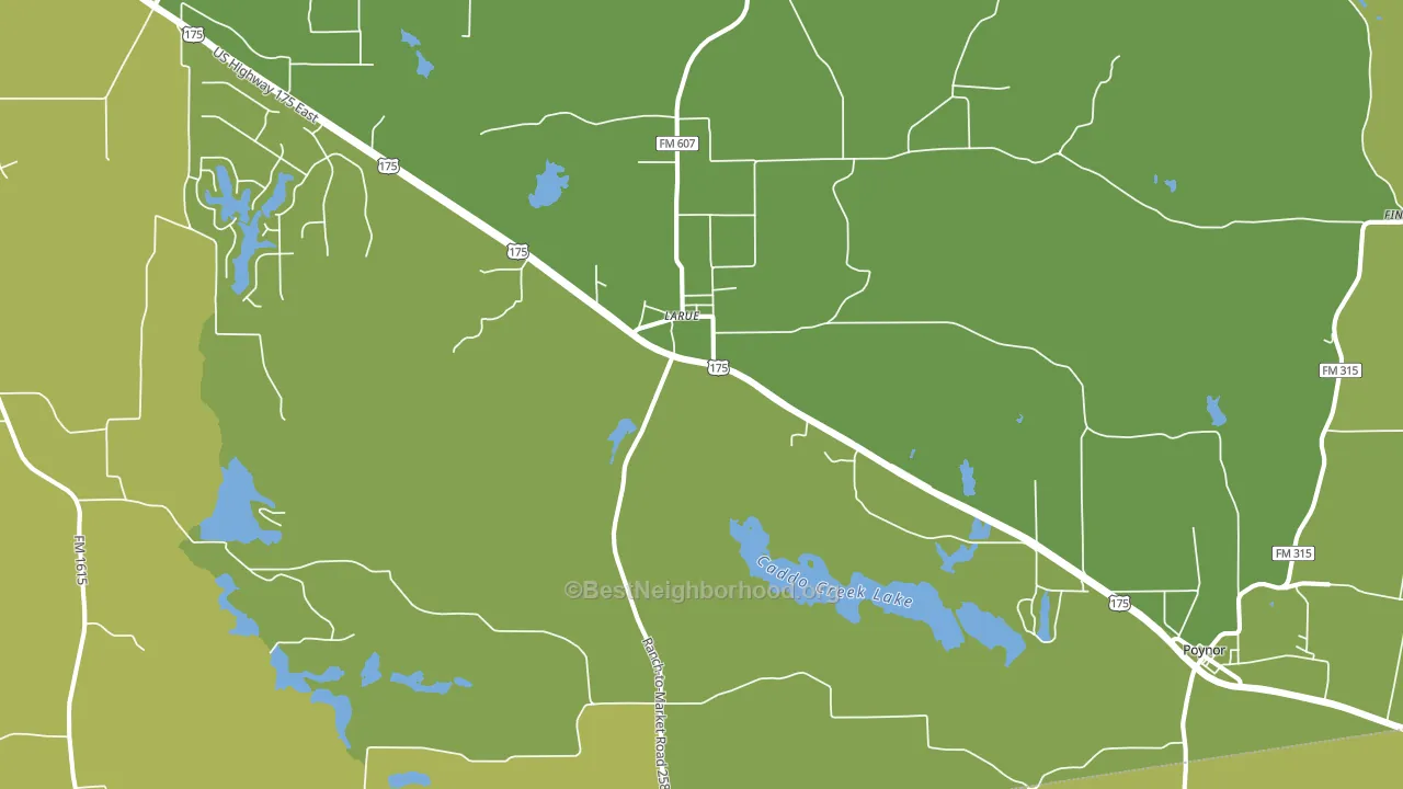 Larue, TX block-group voter-turnout map