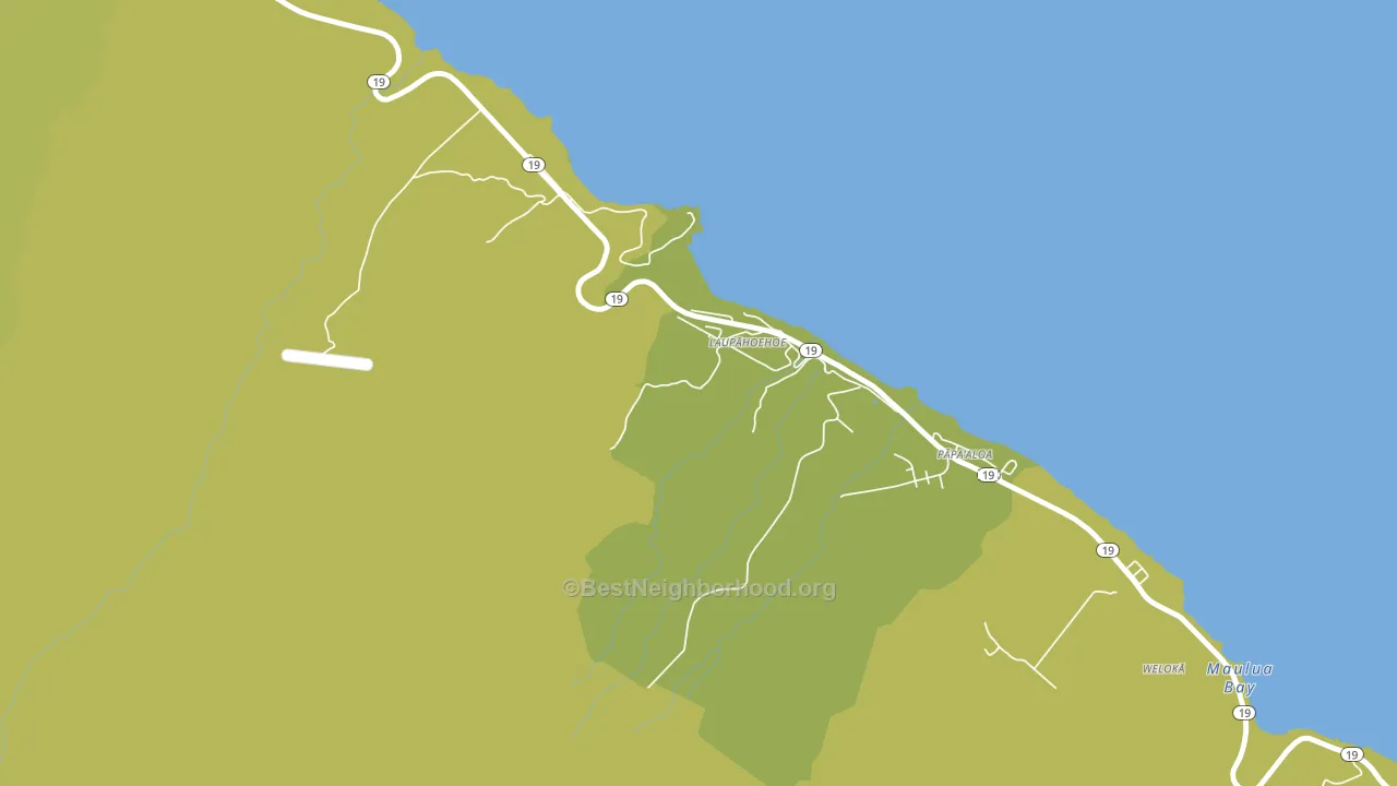 Laupahoehoe, HI block-group voter-turnout map