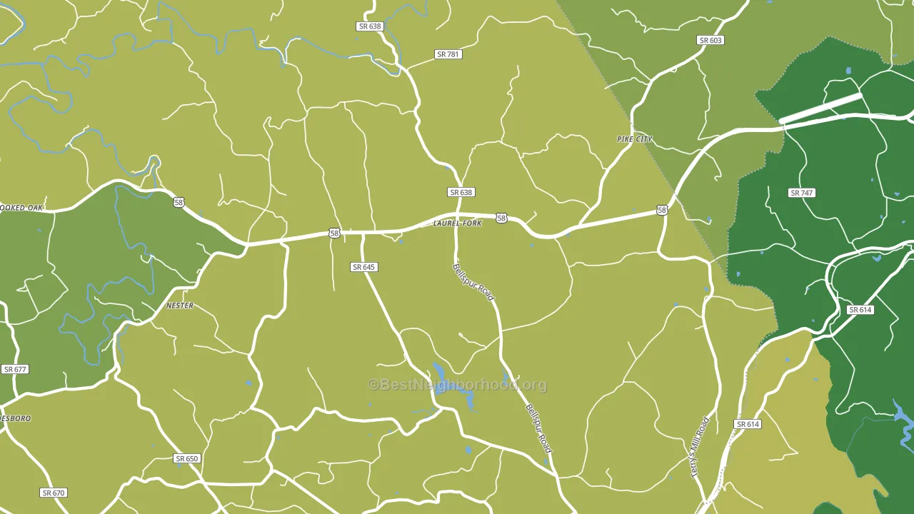 Laurel Fork, VA block-group voter-turnout map