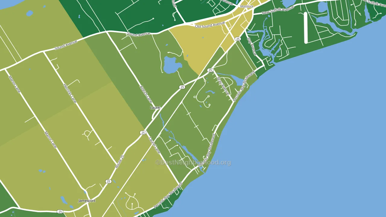 Laurel, NY block-group voter-turnout map