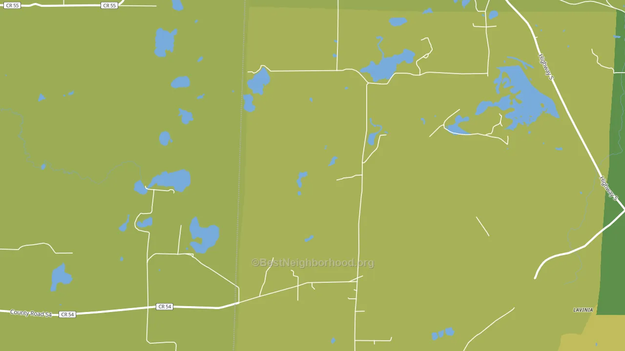 Lavinia, MN block-group voter-turnout map