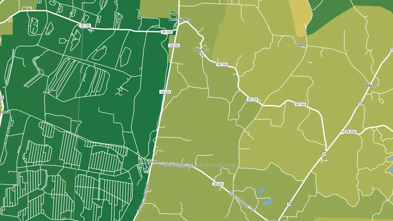 Lavinia, TN block-group voter-turnout map