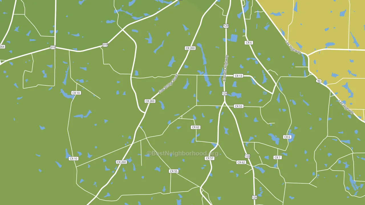 Lax, GA block-group voter-turnout map