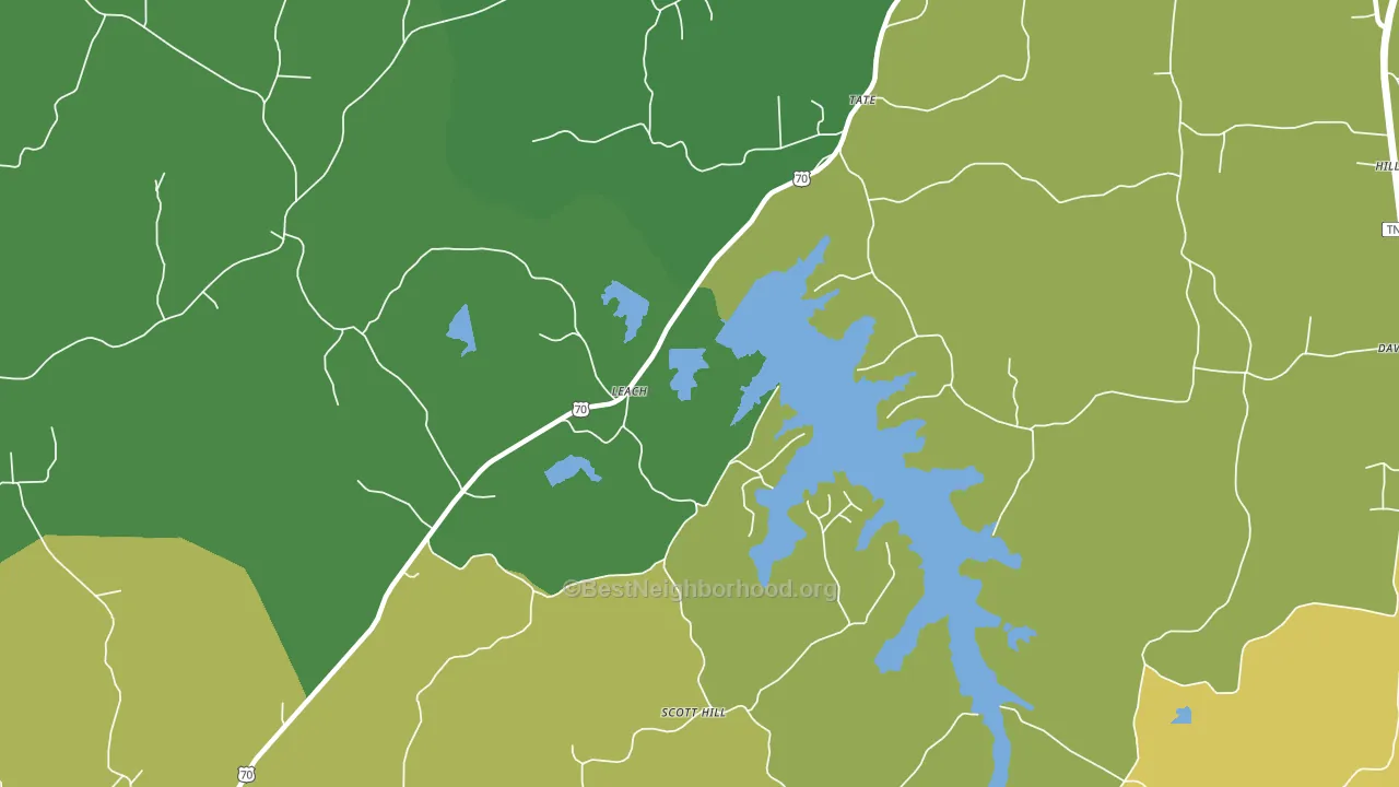 Leach, TN block-group voter-turnout map