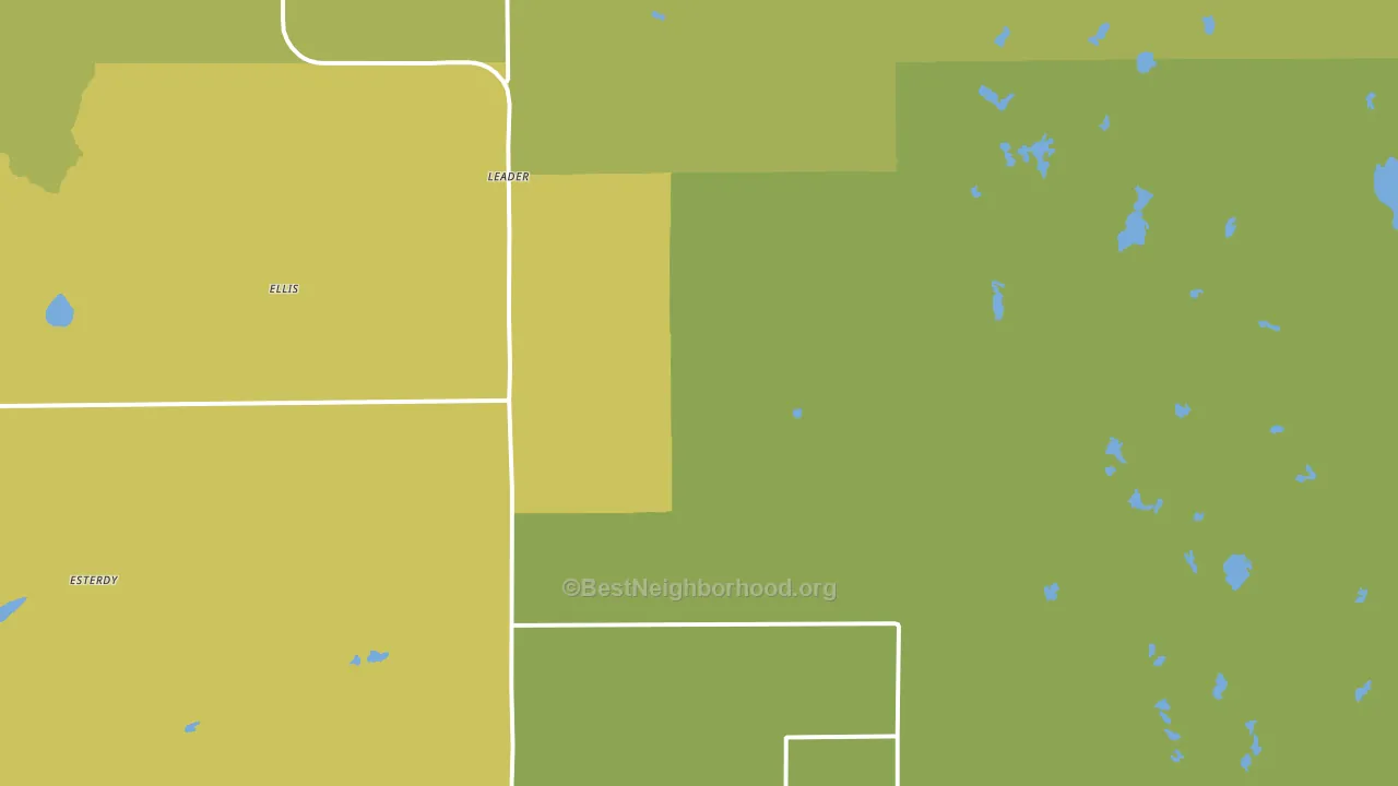 Leader, MN block-group voter-turnout map