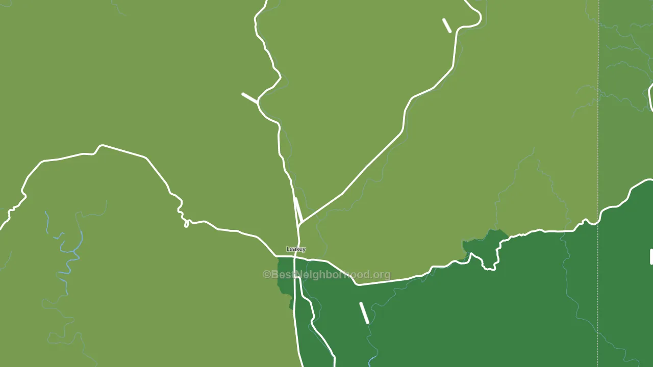 Leakey, TX block-group voter-turnout map