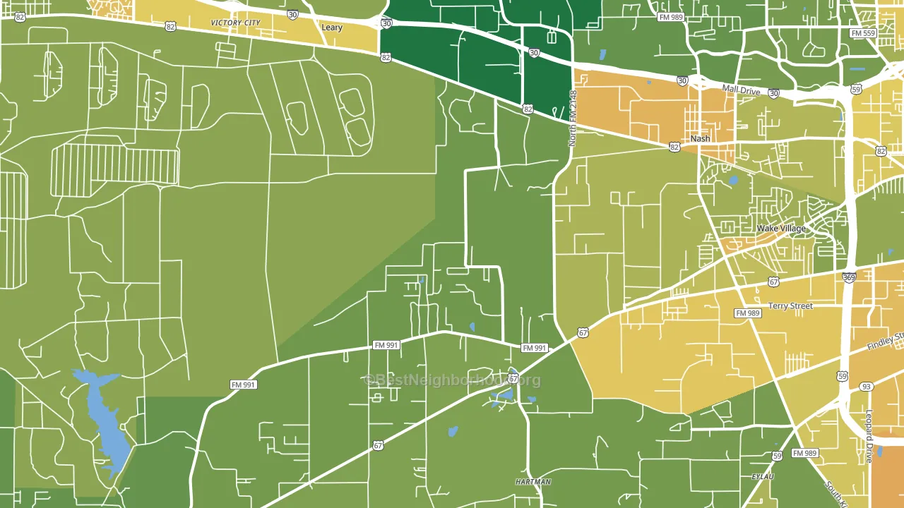 Leary, TX block-group voter-turnout map