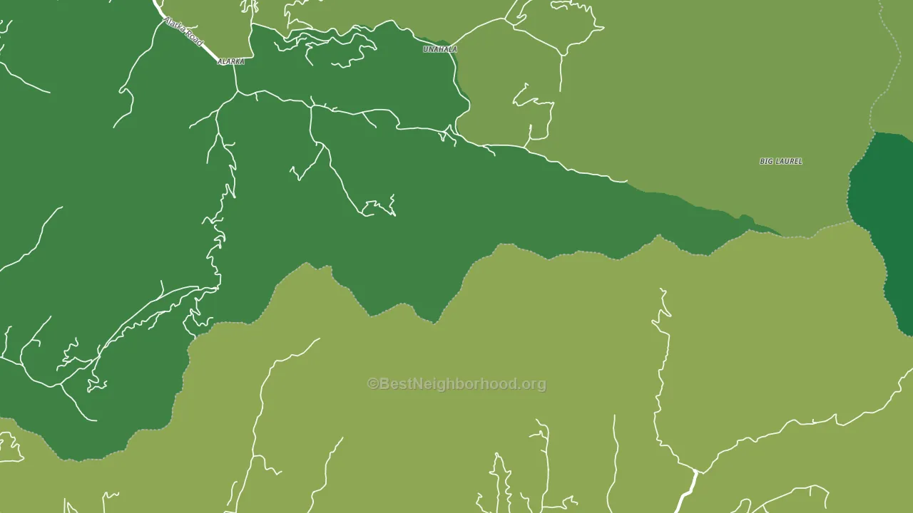 Leatherman, NC block-group voter-turnout map