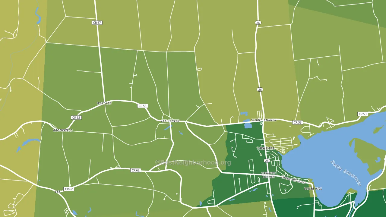 Lee Center, NY block-group voter-turnout map