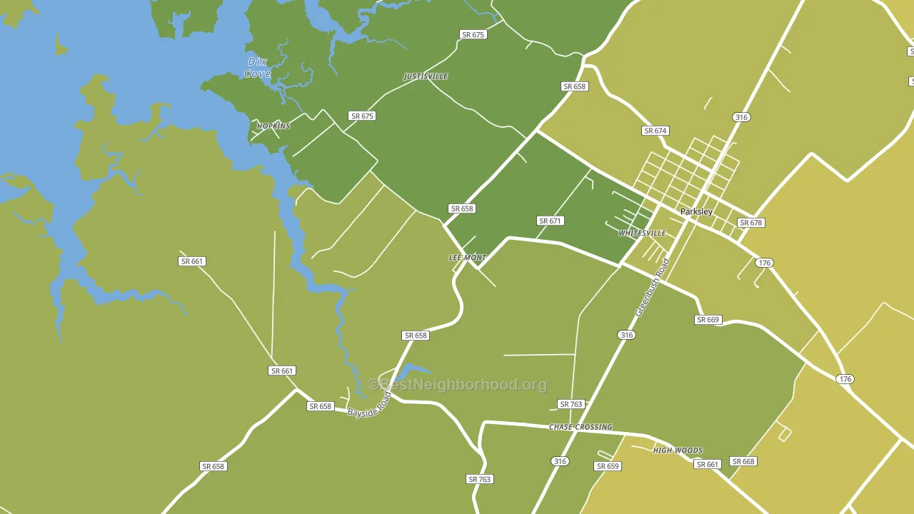 Lee Mont, VA block-group voter-turnout map