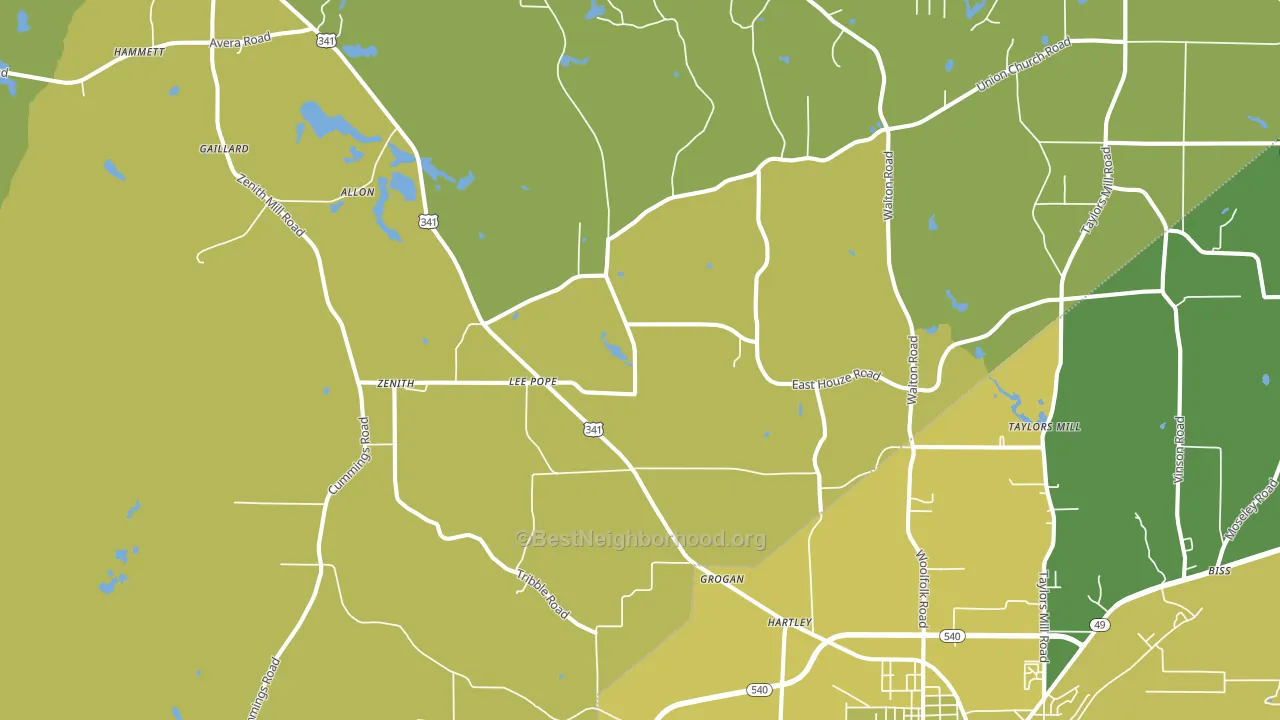 Lee Pope, GA block-group voter-turnout map