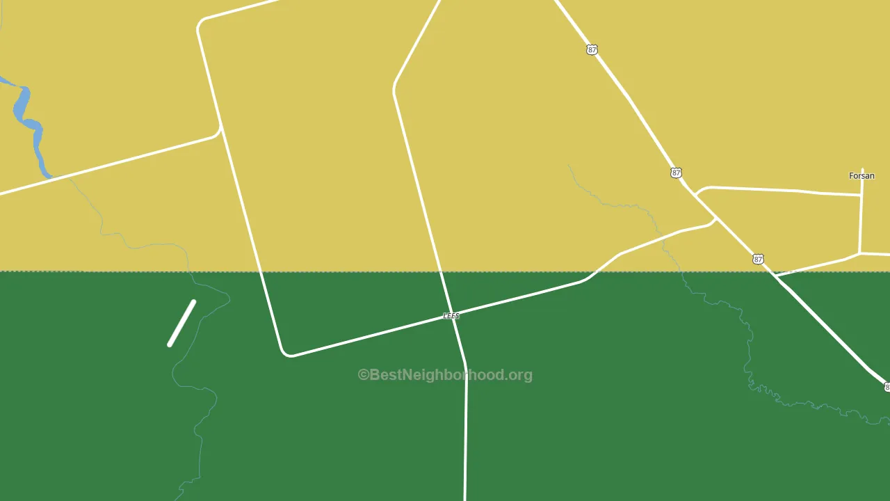 Lees, TX block-group voter-turnout map