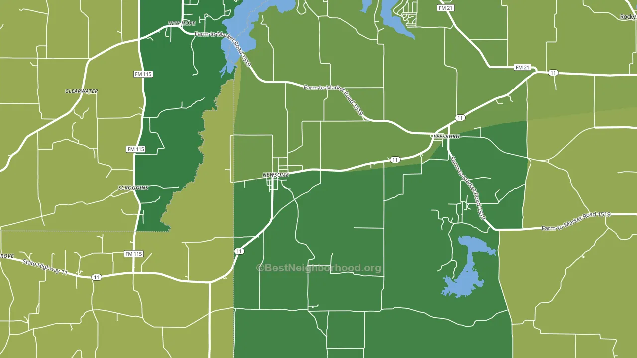 Leesburg, TX block-group voter-turnout map