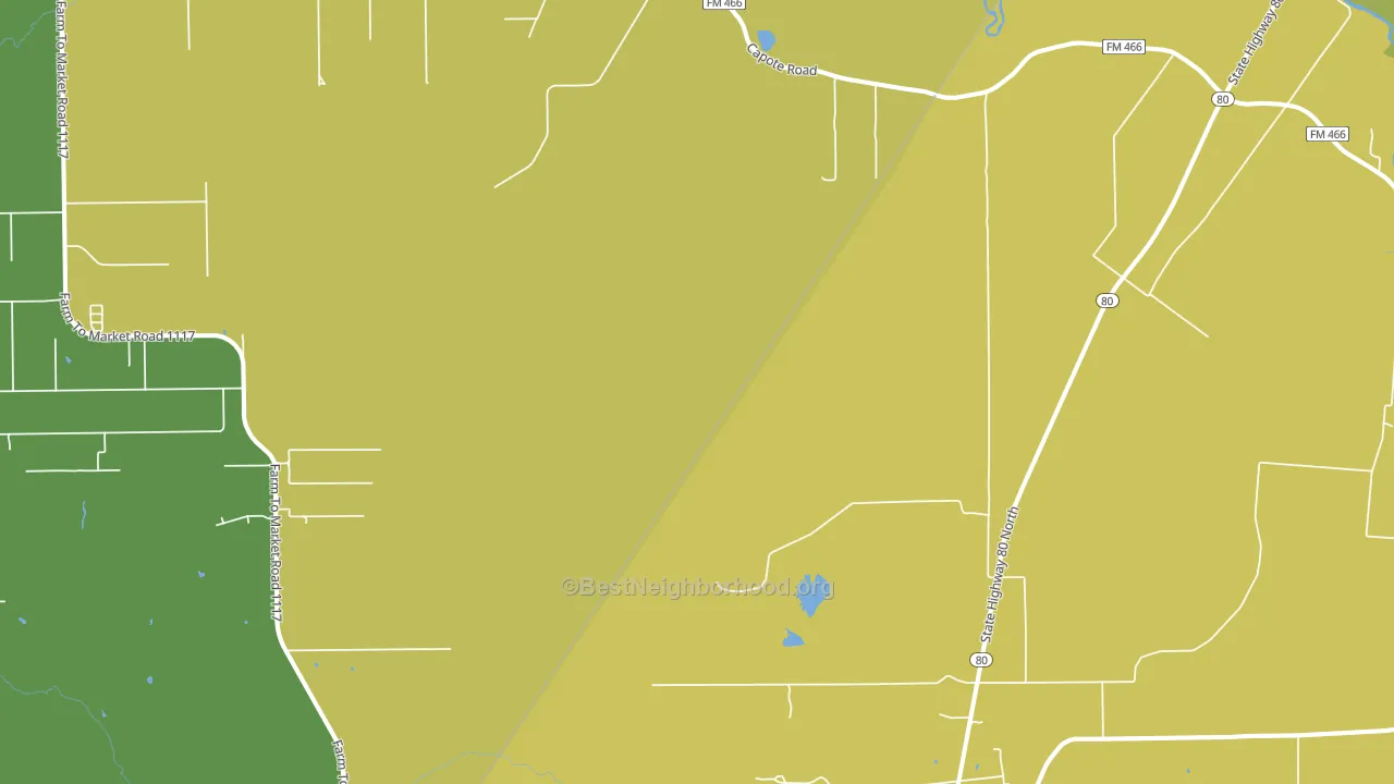 Leesville, TX block-group voter-turnout map