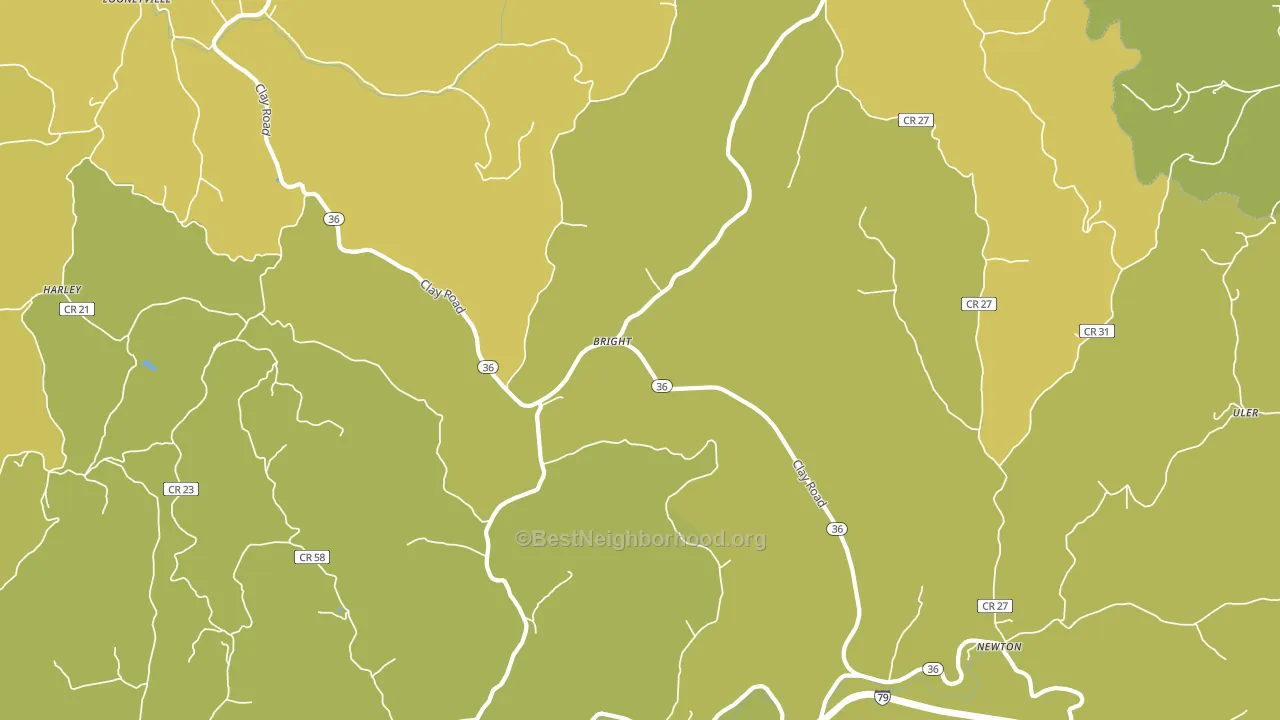 Left Hand, WV block-group voter-turnout map