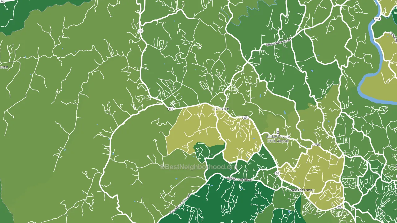 Leicester, NC block-group voter-turnout map