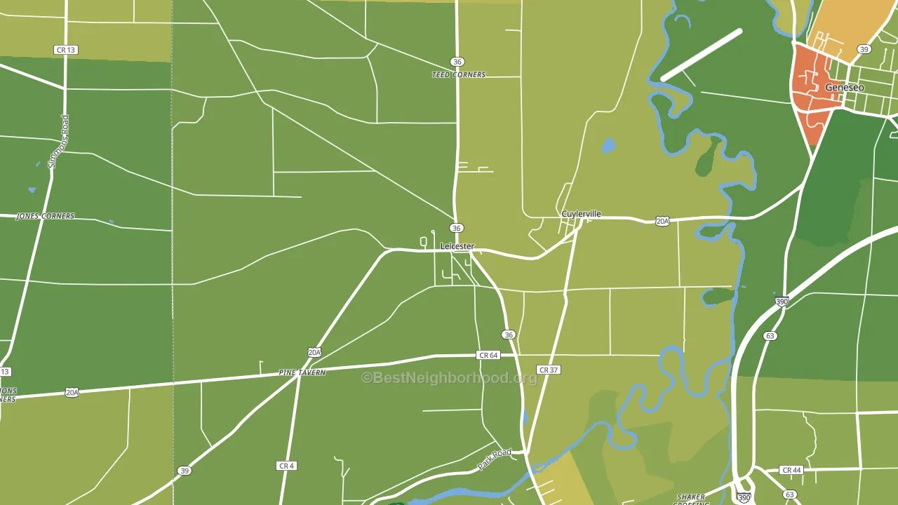 Leicester, NY block-group voter-turnout map
