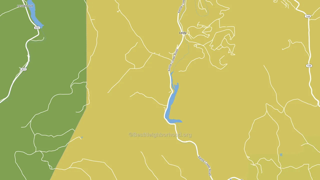Leidy, PA block-group voter-turnout map