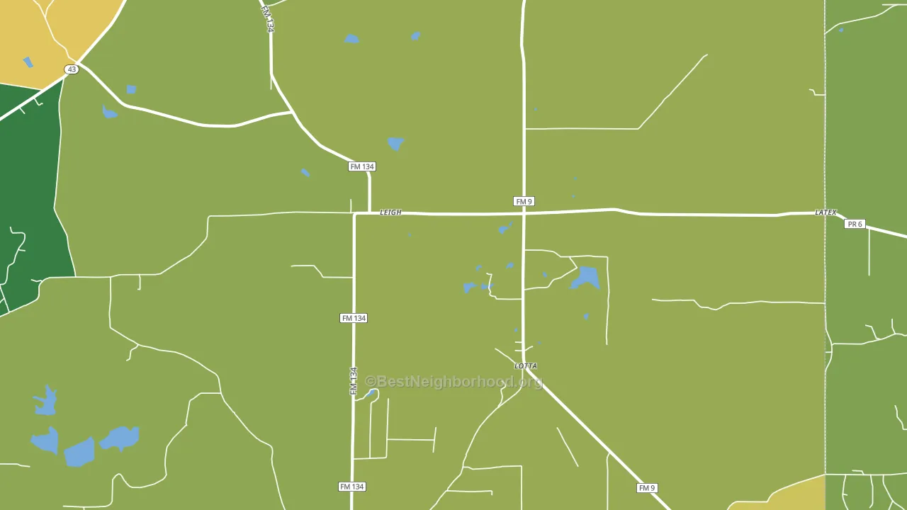 Leigh, TX block-group voter-turnout map
