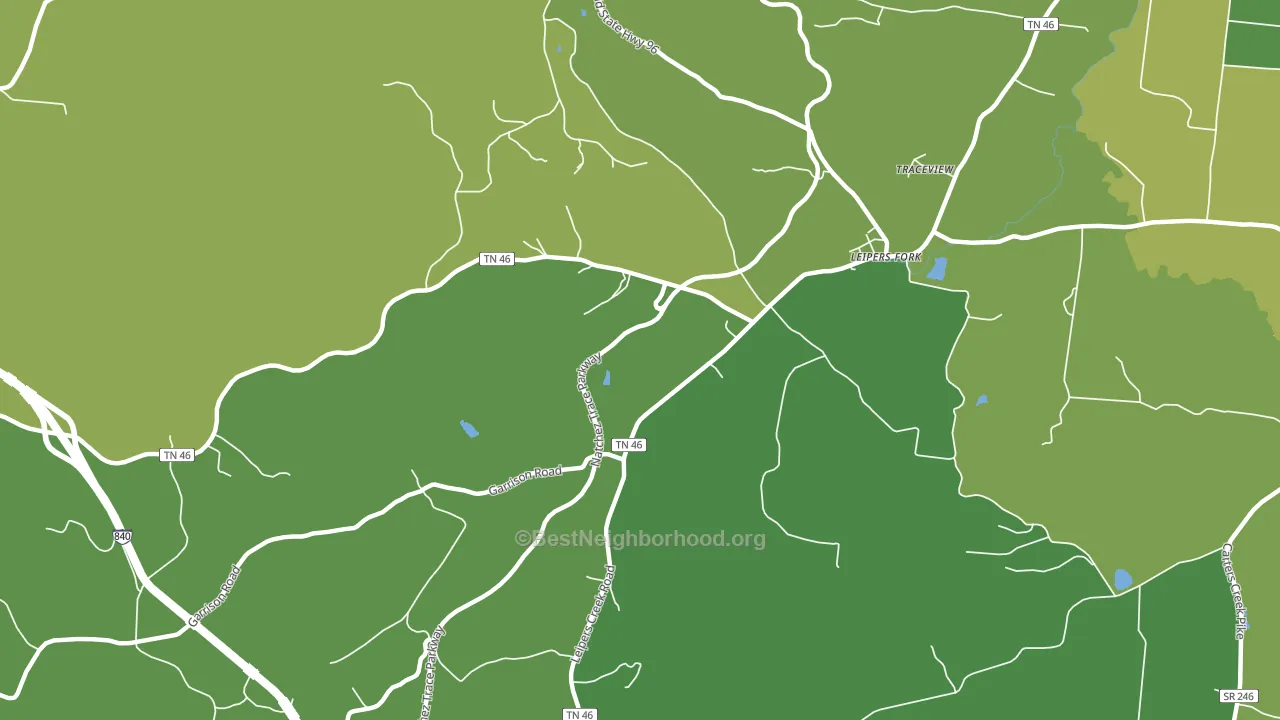 Leipers Fork, TN block-group voter-turnout map