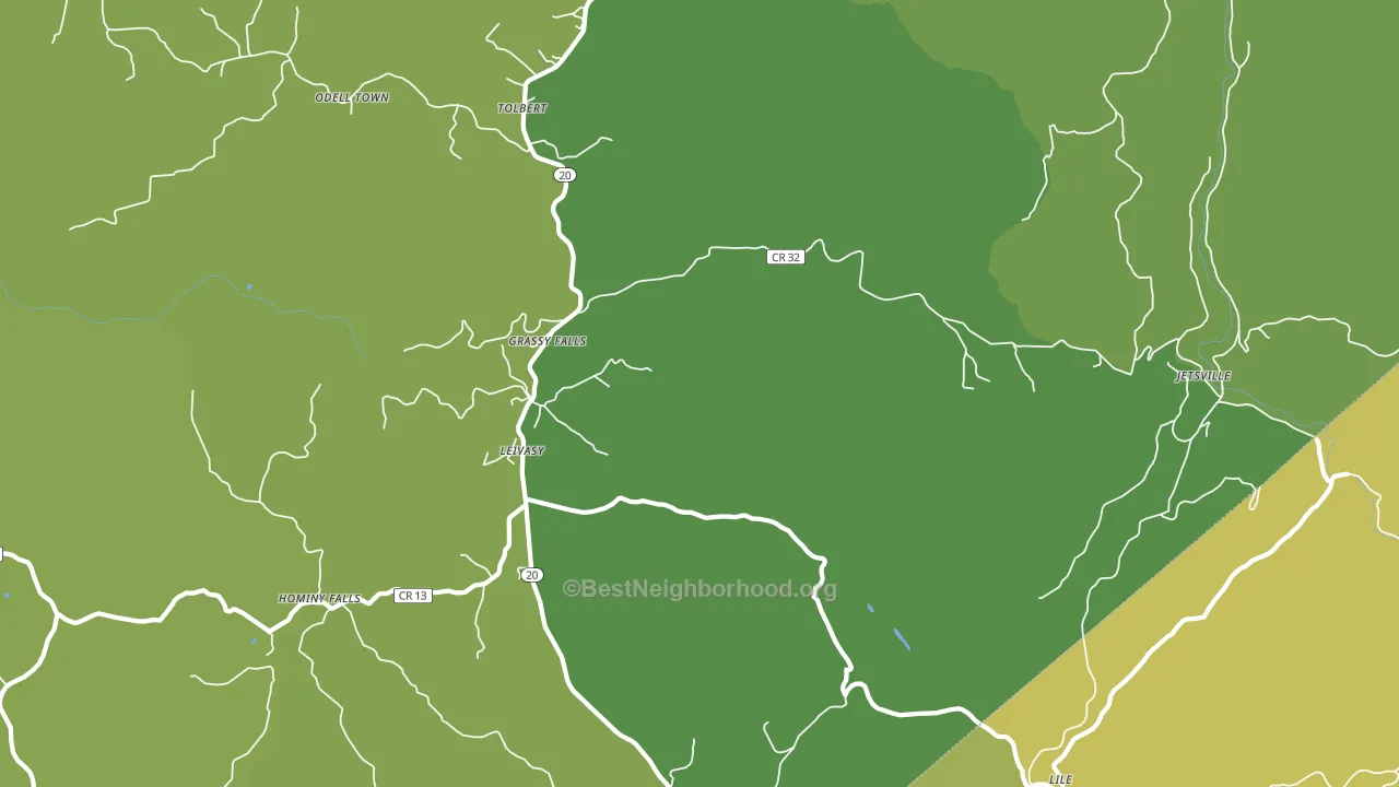 Leivasy, WV block-group voter-turnout map