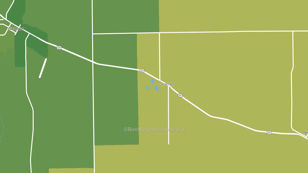 Lelia Lake, TX block-group voter-turnout map