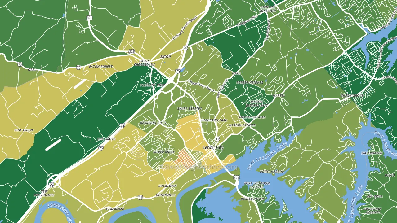 Lenoir City, TN block-group voter-turnout map