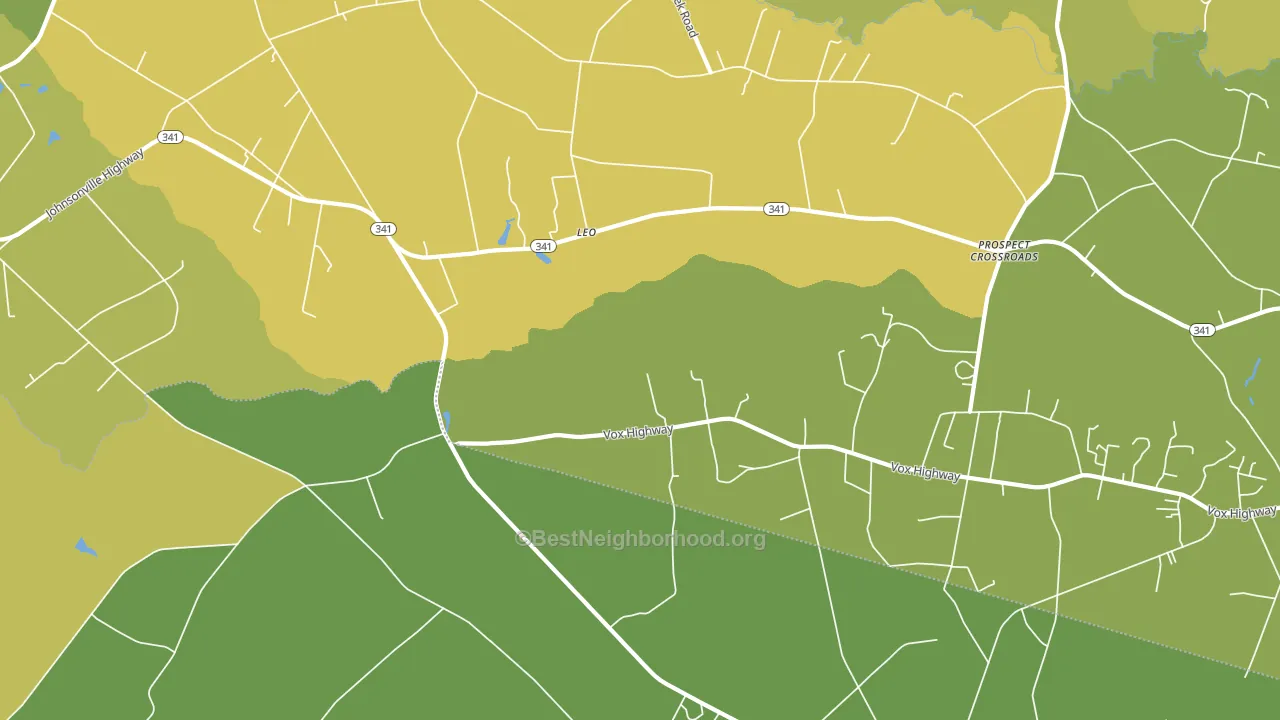 Leo, SC block-group voter-turnout map