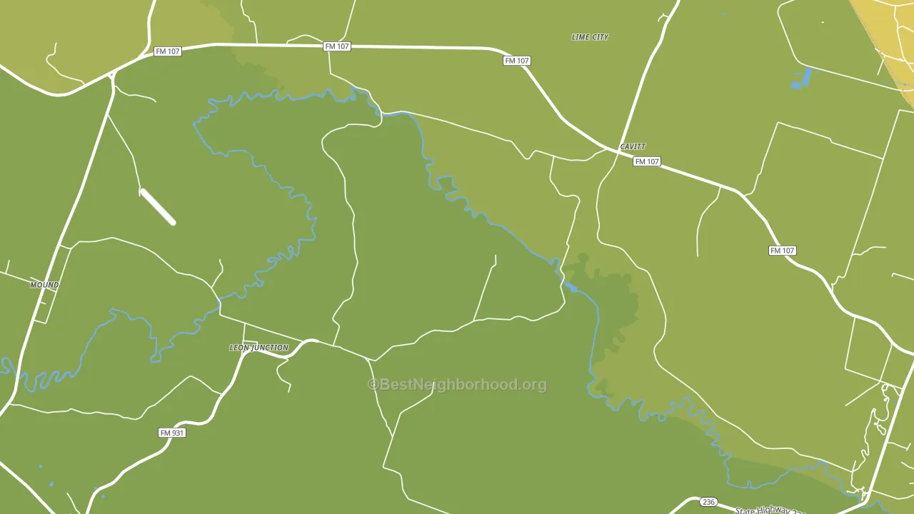 Leon Junction, TX block-group voter-turnout map