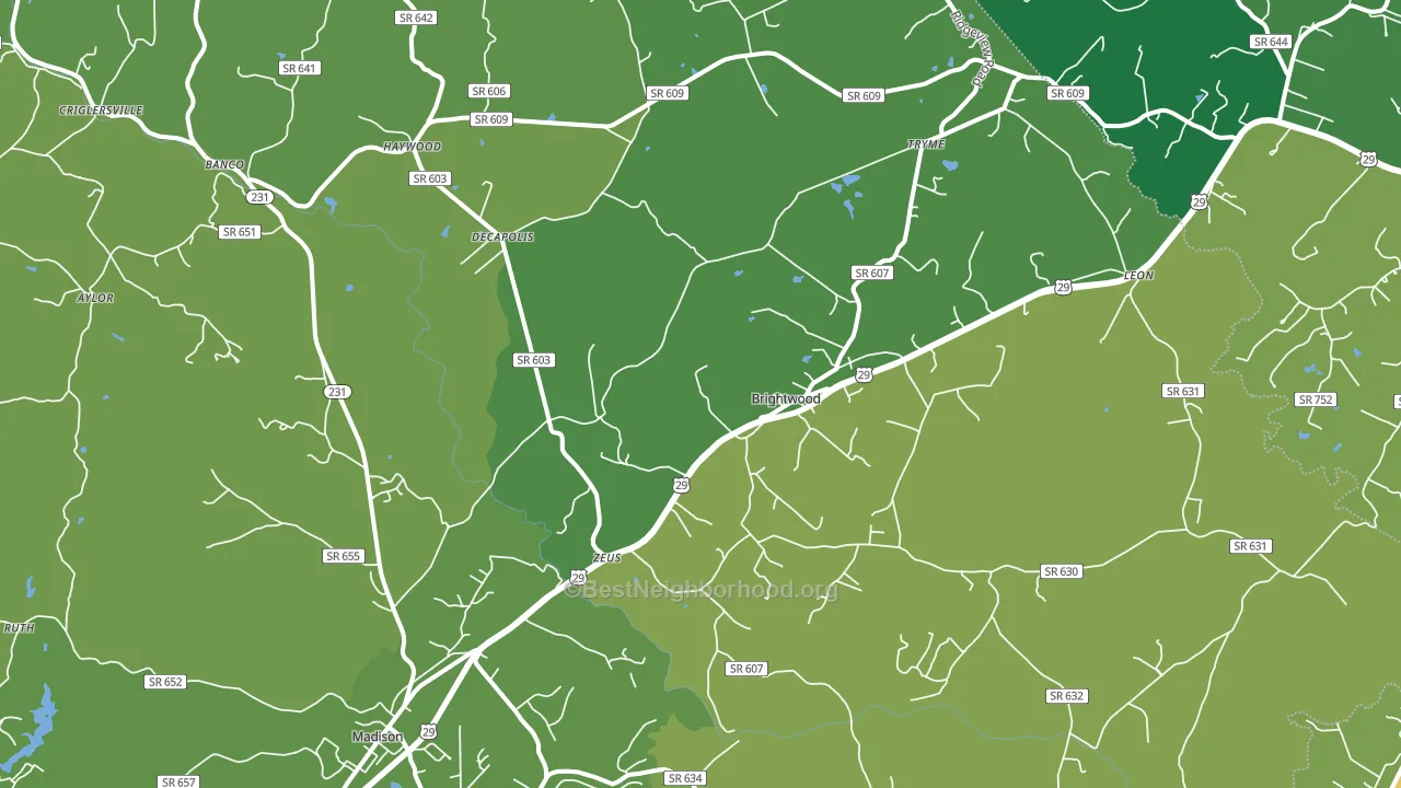 Leon, VA block-group voter-turnout map