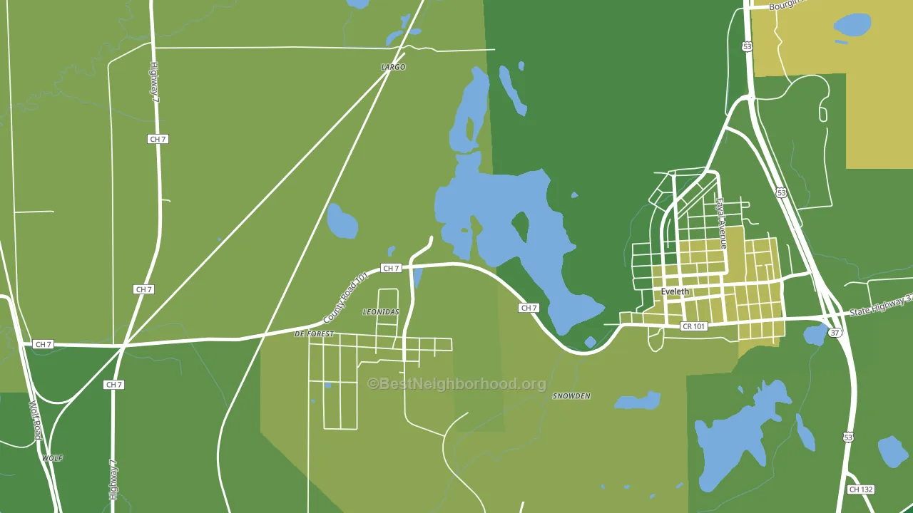 Leonidas, MN block-group voter-turnout map