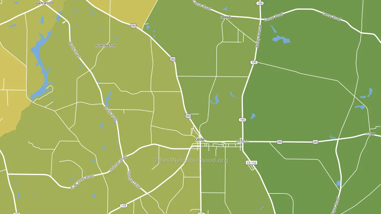 Leslie, GA block-group voter-turnout map