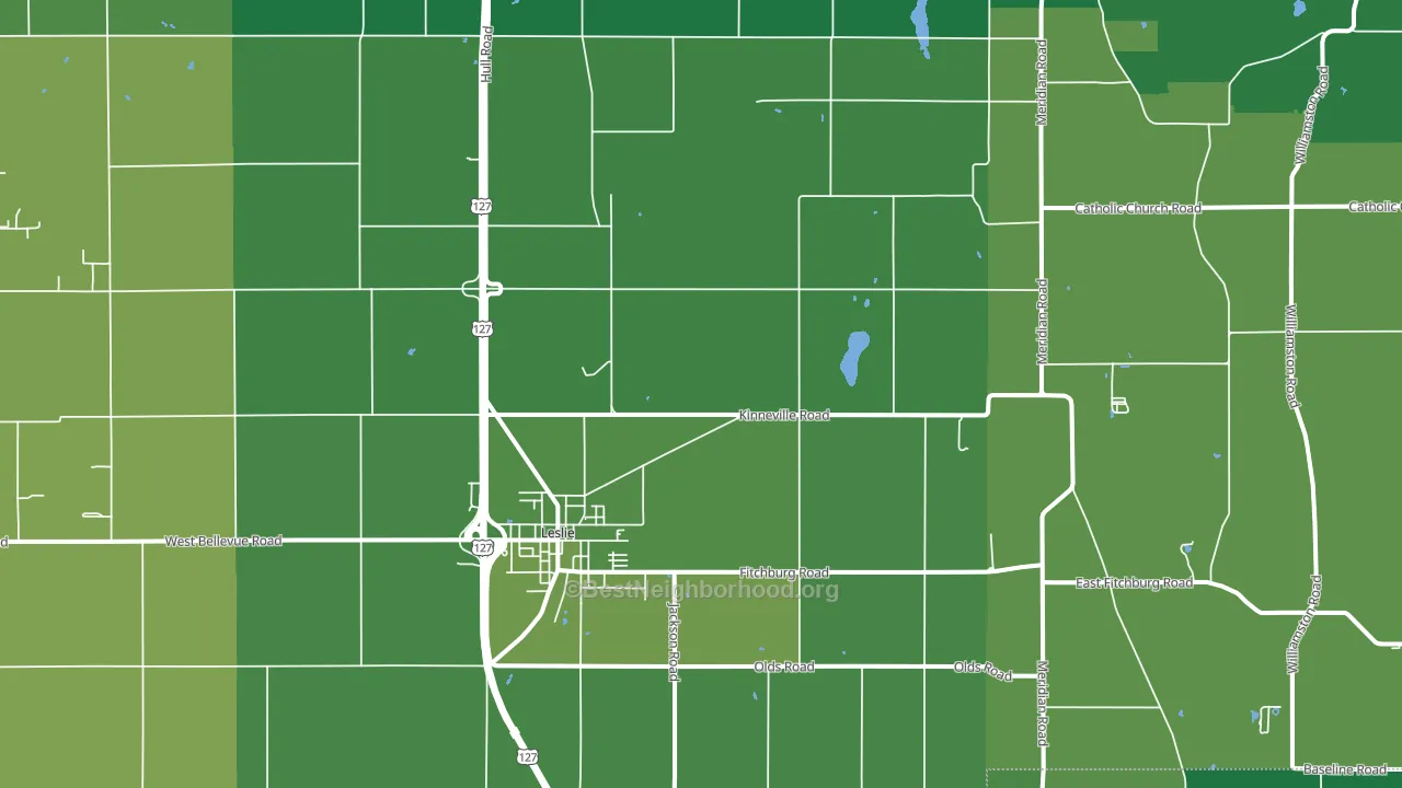 Leslie, MI block-group voter-turnout map