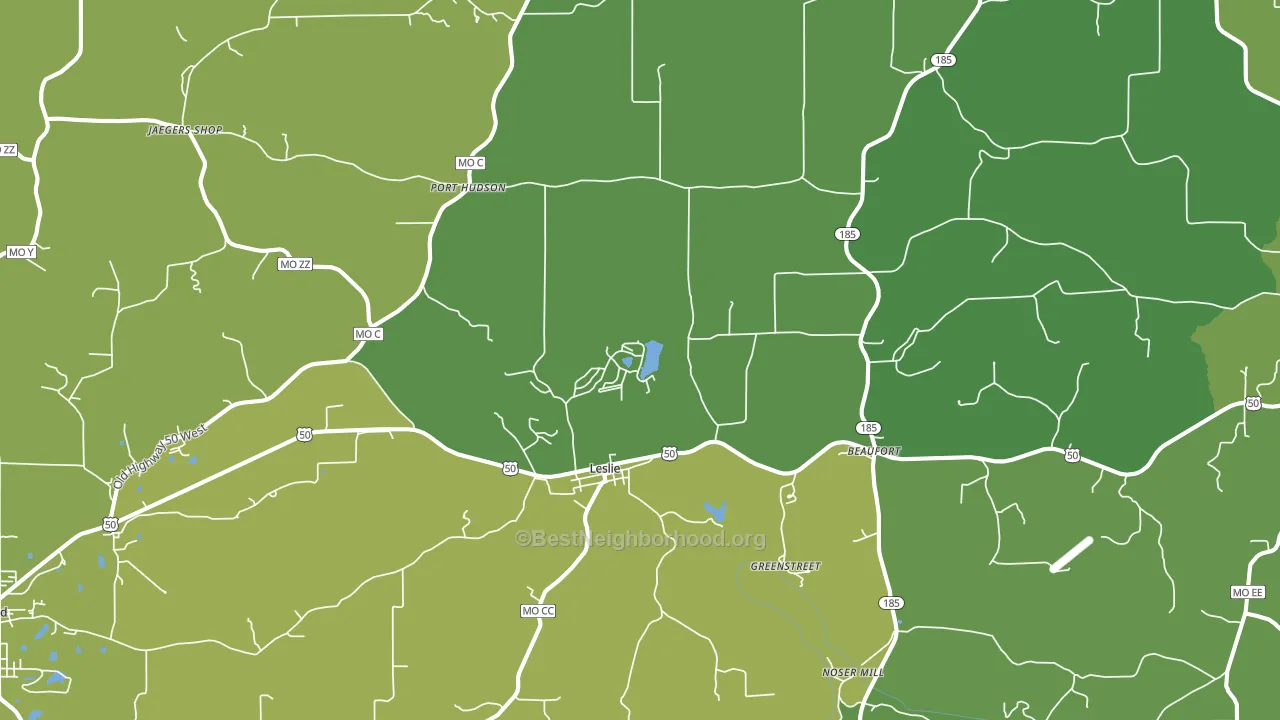 Leslie, MO block-group voter-turnout map
