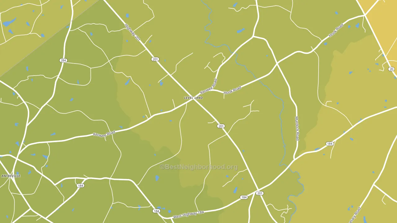Level Land, SC block-group voter-turnout map