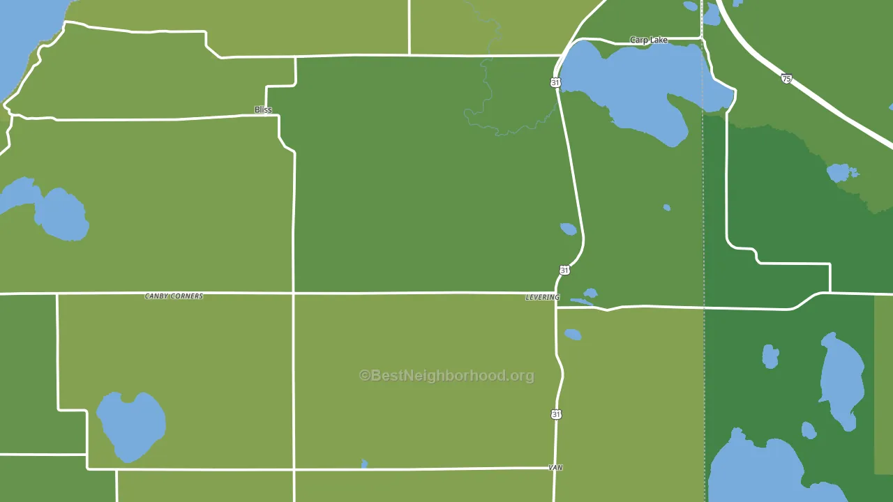 Levering, MI block-group voter-turnout map