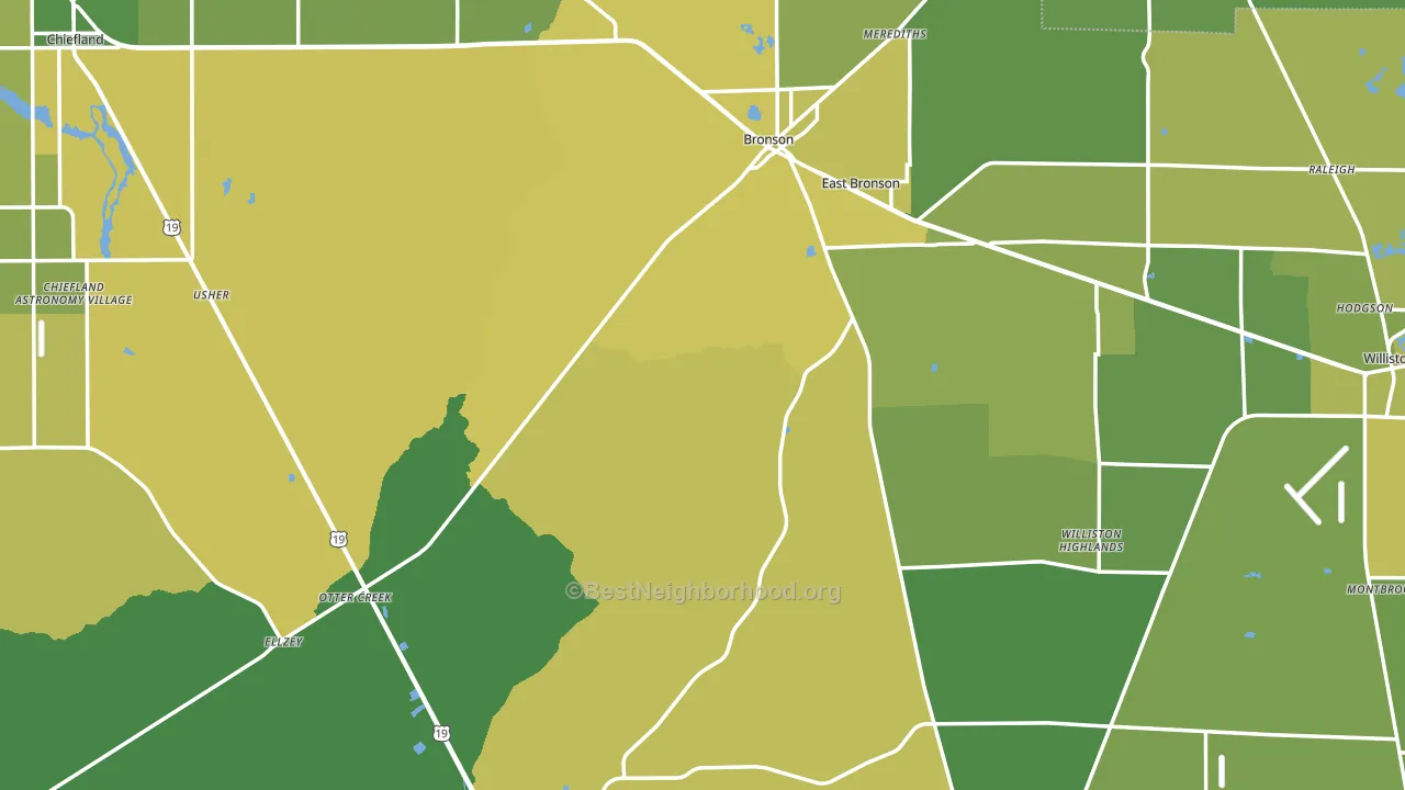 Levy County, FL block-group voter-turnout map