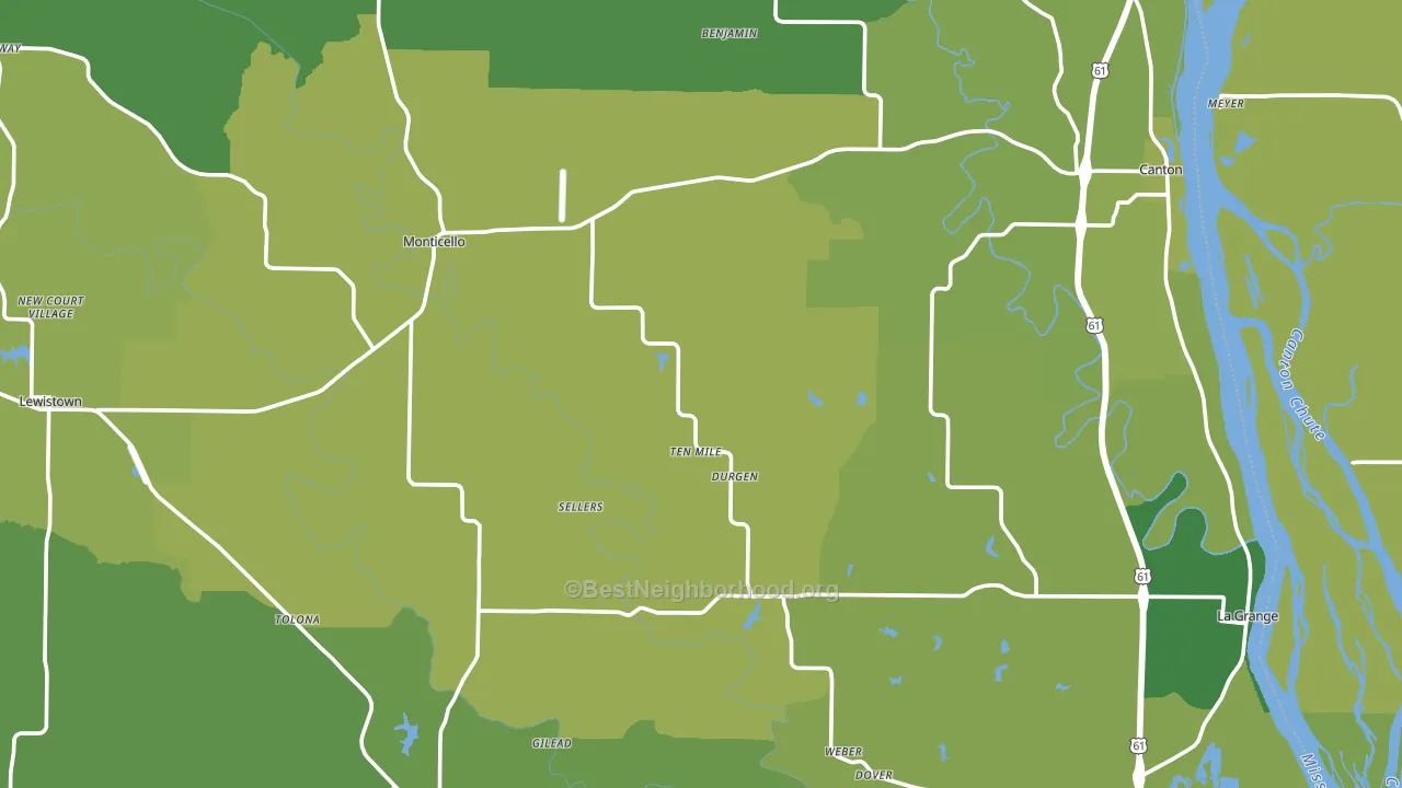 Lewis County, MO block-group voter-turnout map
