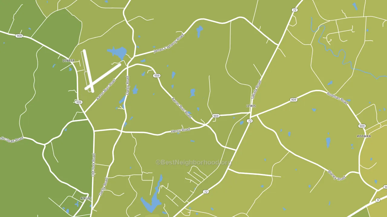 Lewis, SC block-group voter-turnout map
