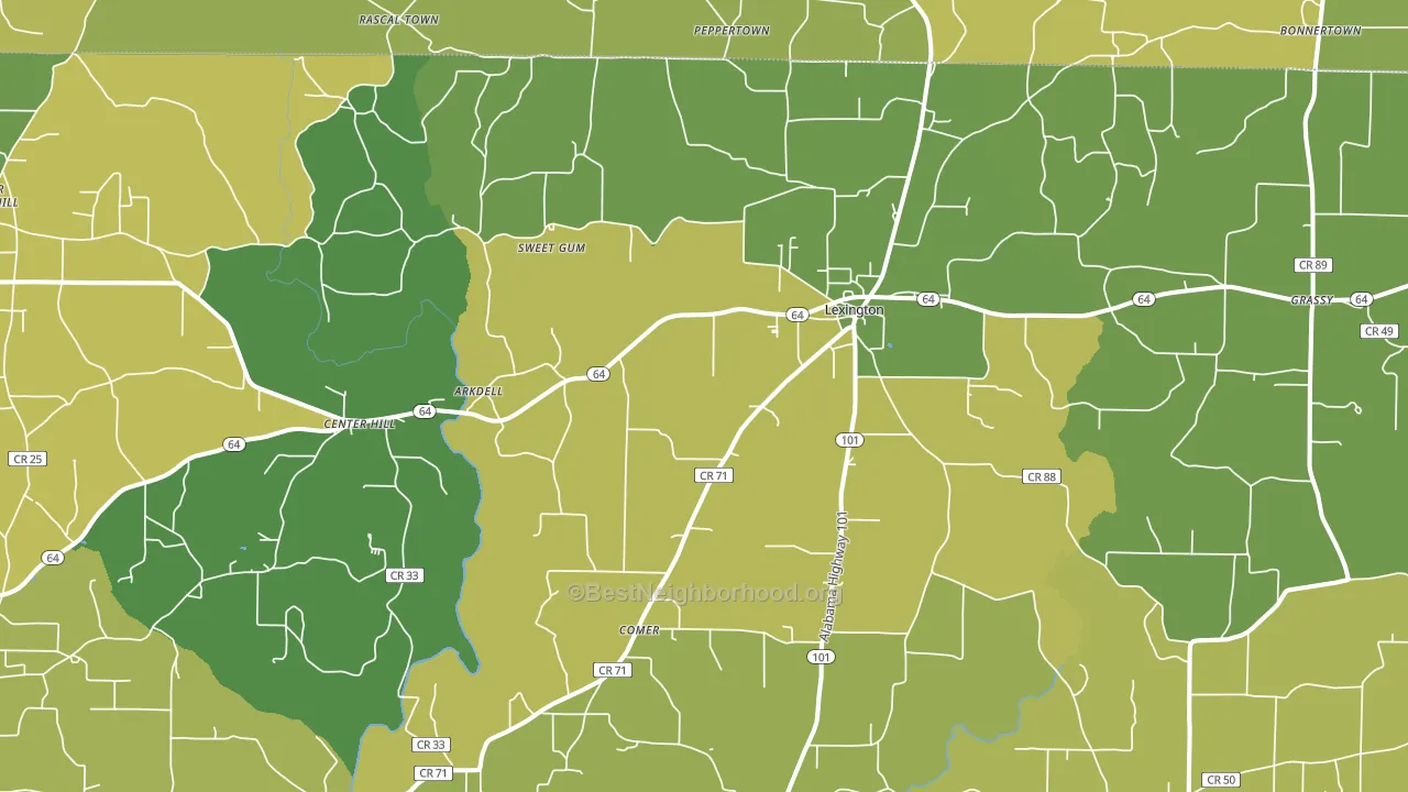 Lexington, AL block-group voter-turnout map