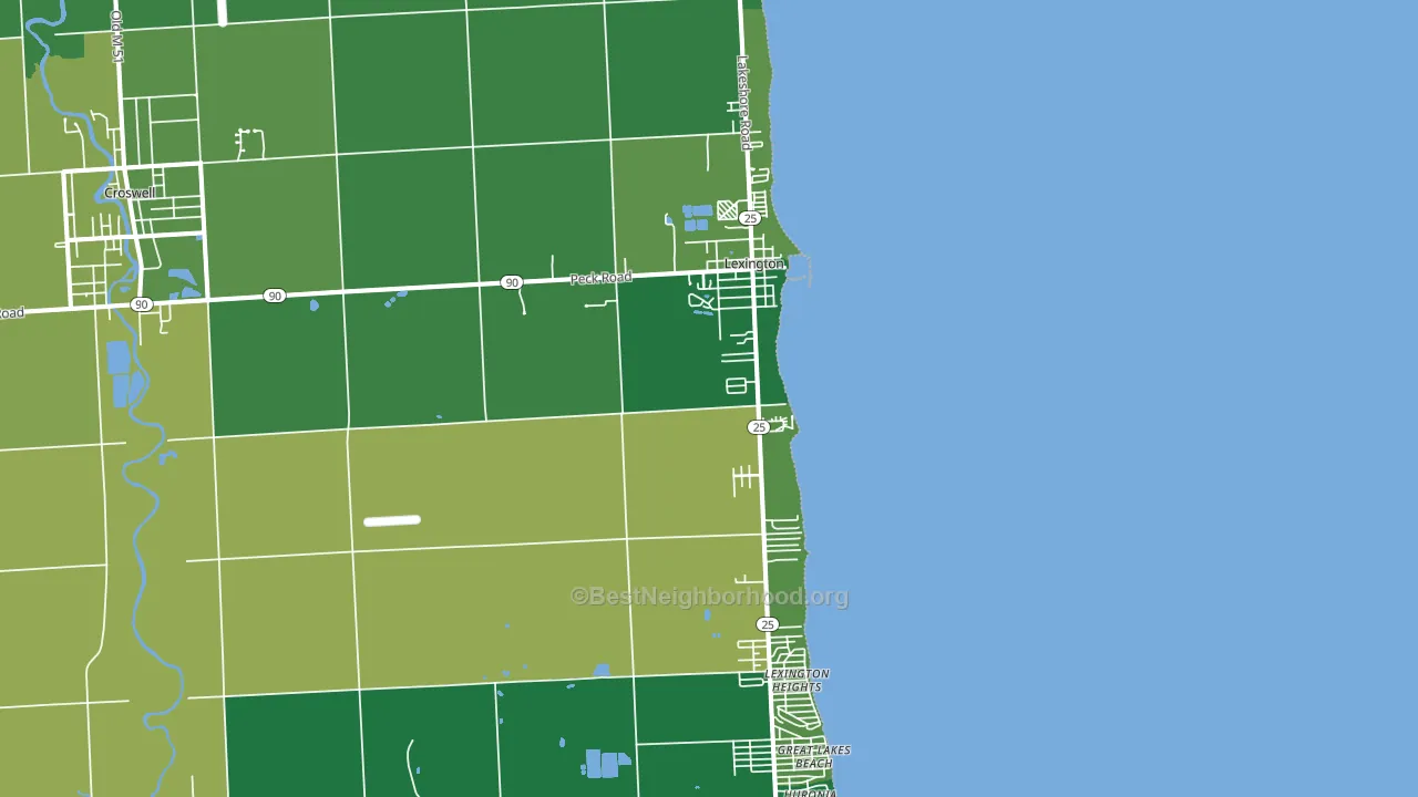 Lexington, MI block-group voter-turnout map