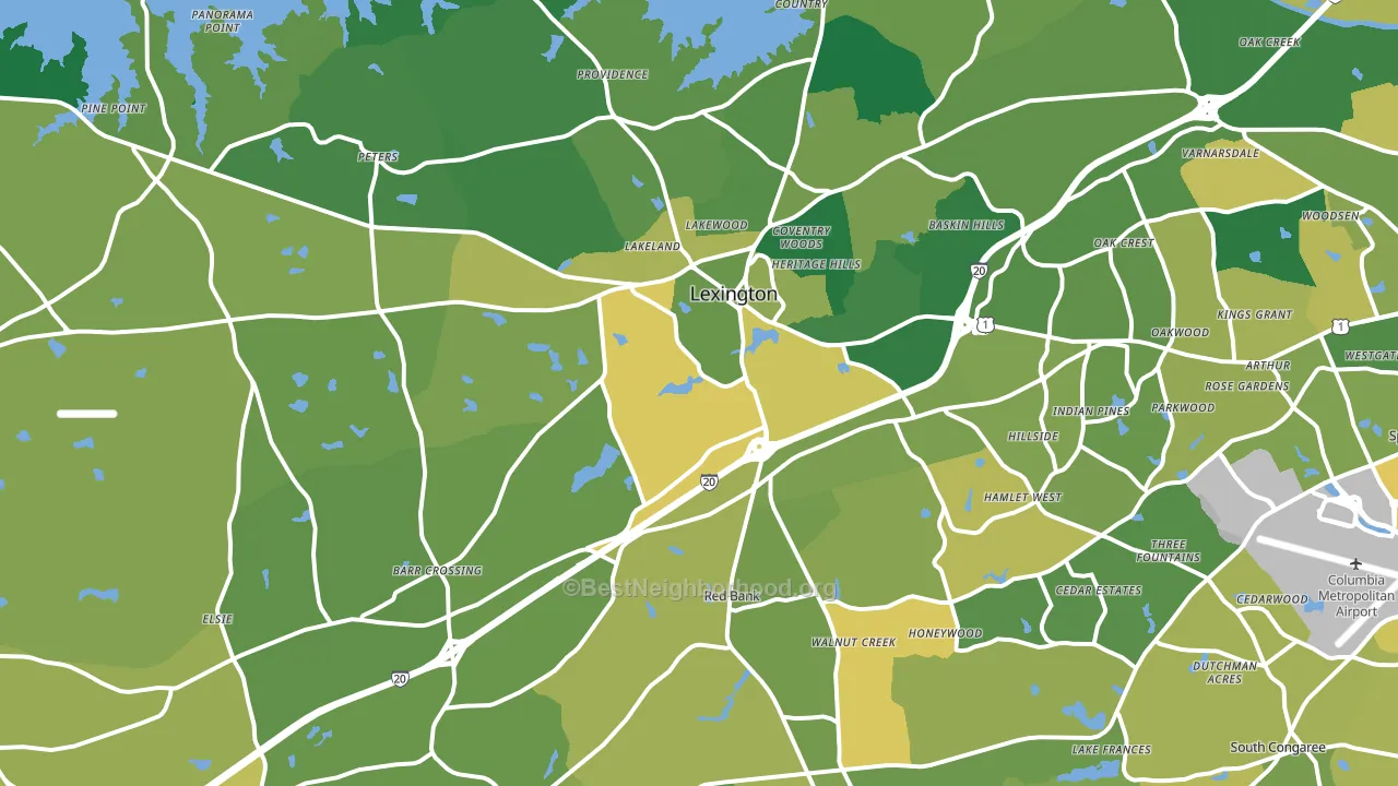 Lexington, SC block-group voter-turnout map