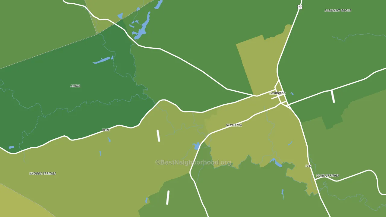Lexington, TX block-group voter-turnout map