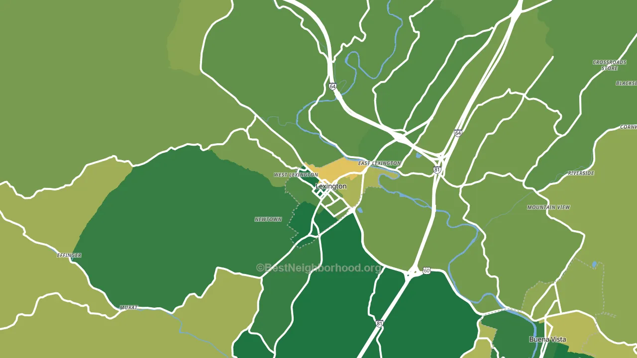 Lexington, VA block-group voter-turnout map