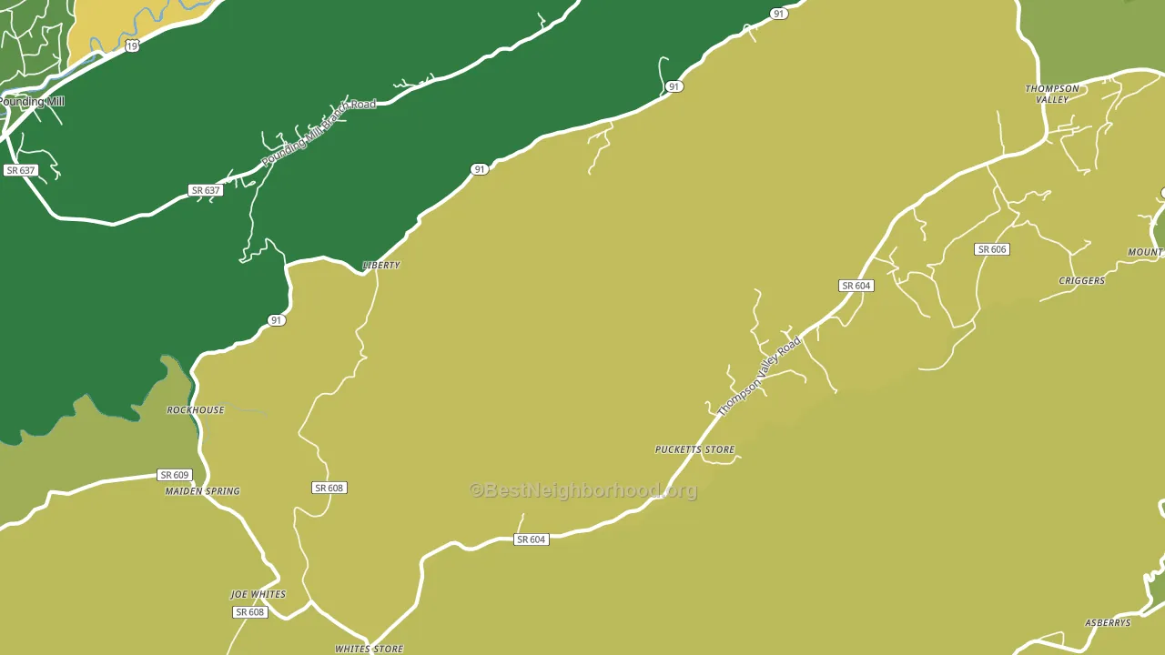 Liberty, VA block-group voter-turnout map
