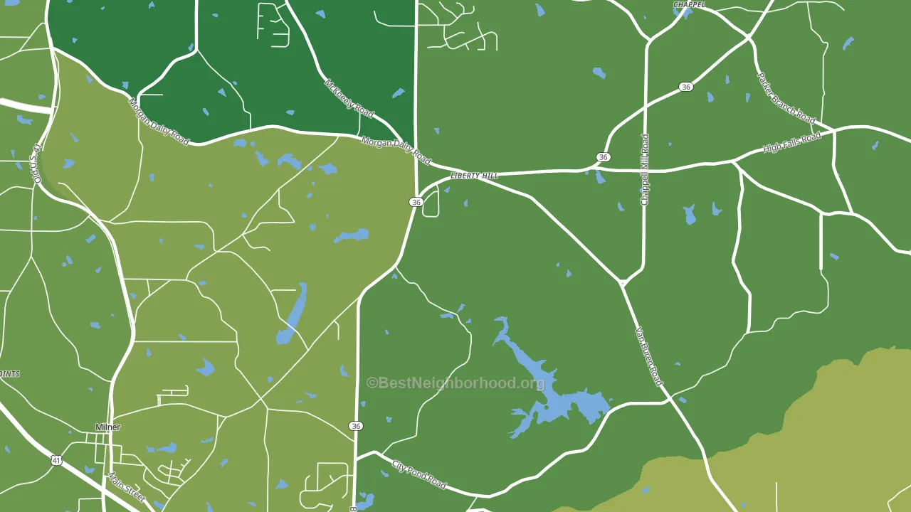 Libertyhill, GA block-group voter-turnout map