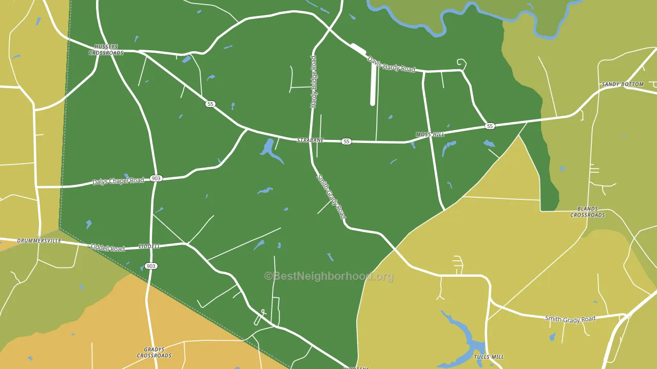 Liddell, NC block-group voter-turnout map